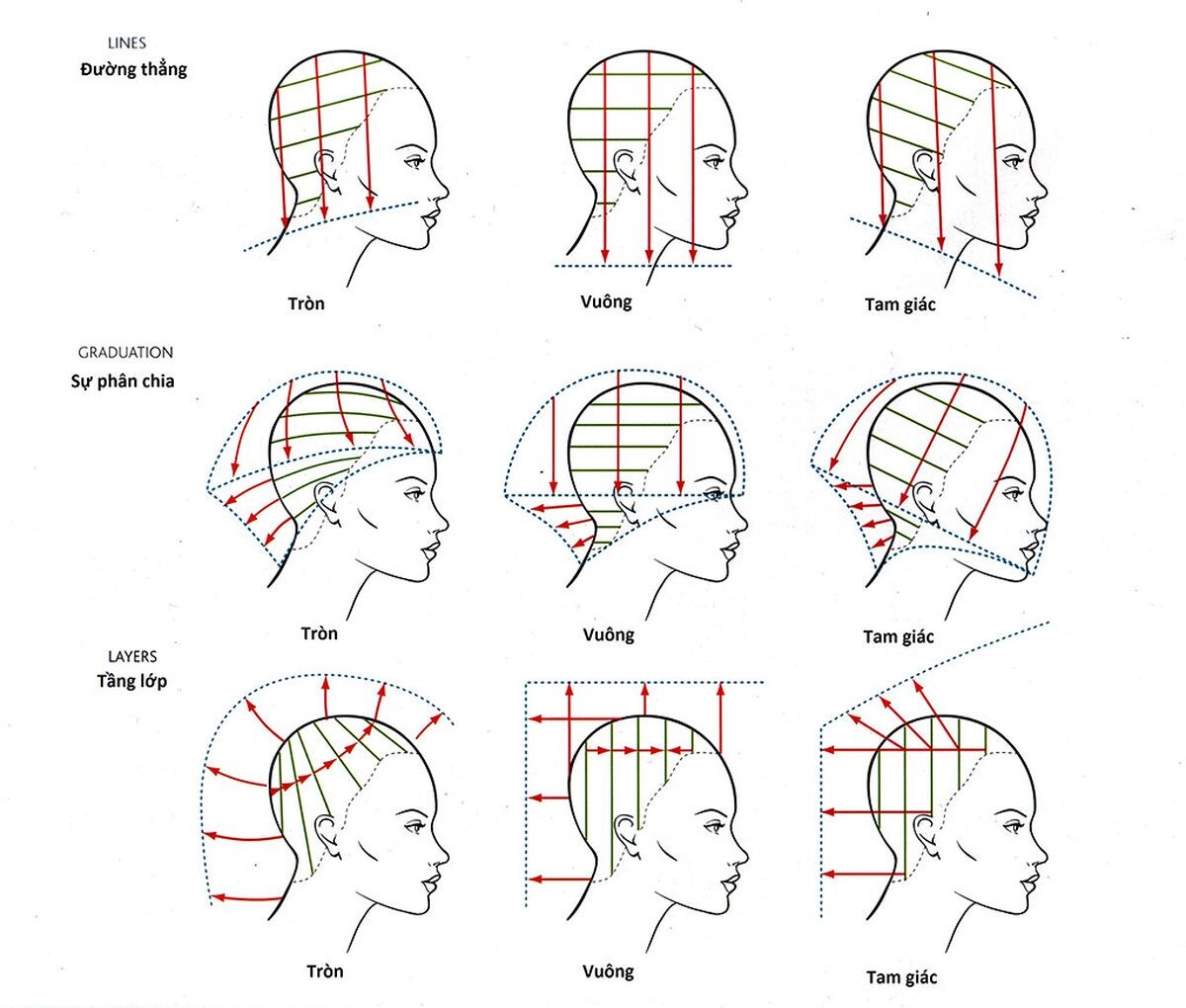 Phương pháp cắt tóc hình học là gì?
