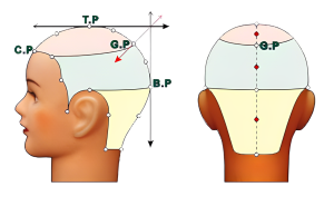 Điểm vàng (GP- Gold Point)