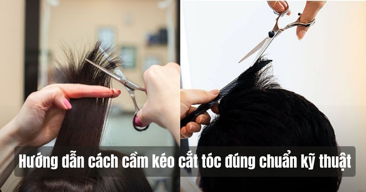 Học cách cầm kéo cắt tóc chuyên nghiệp cùng các khóa học tại X-Academy