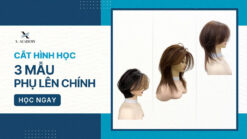 Cắt hình học 3 mẫu phụ lên chính