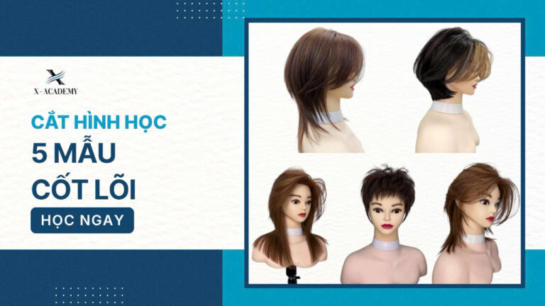 Cắt hình học 5 mẫu cốt lõi