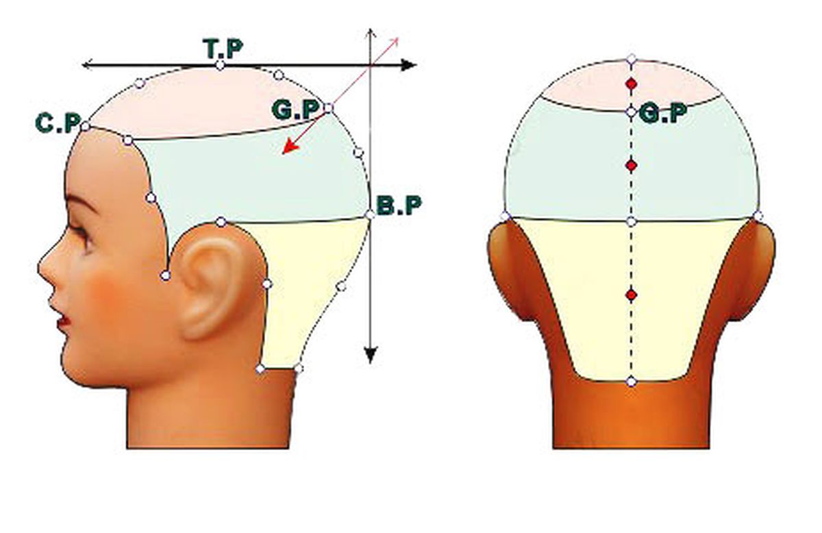 các điểm vàng trên đầu