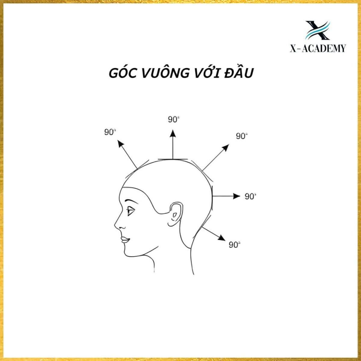Học góc độ trong cắt tóc giá bao nhiêu