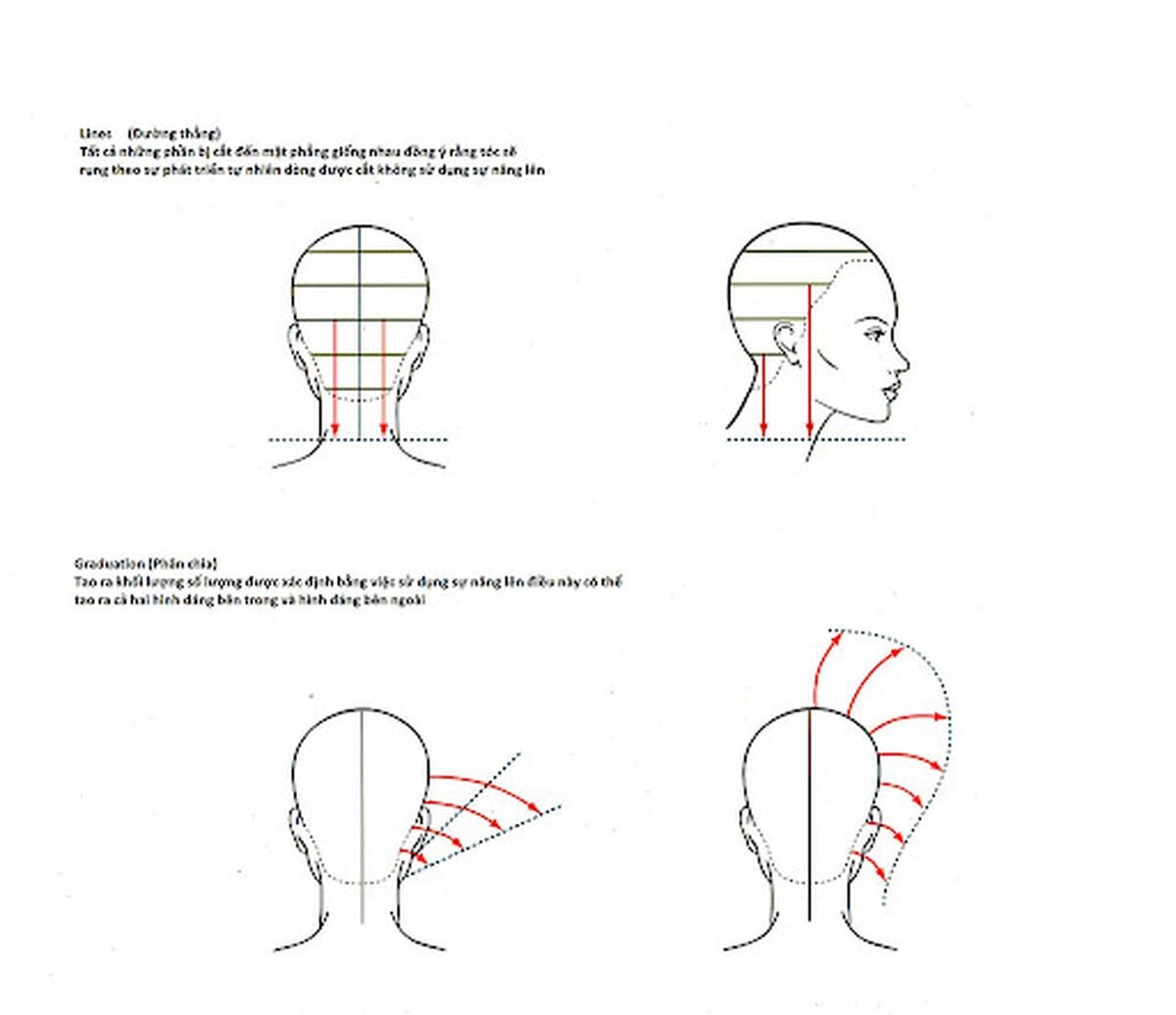 Kỹ thuật cắt tóc Vidal Sassoon ABC