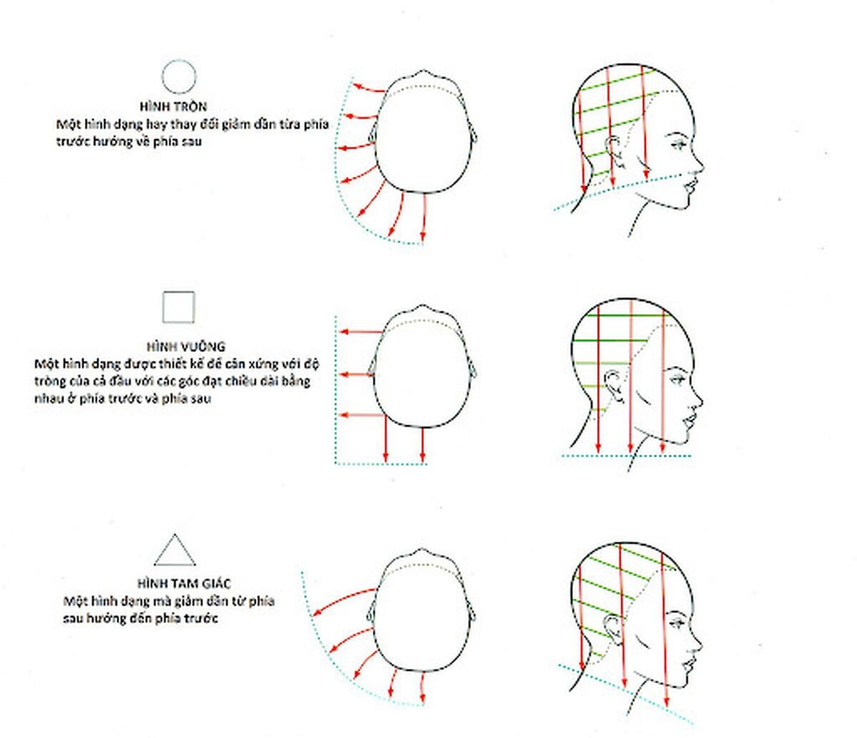 Ứng dụng kỹ thuật cắt tóc Vidal Sassoon