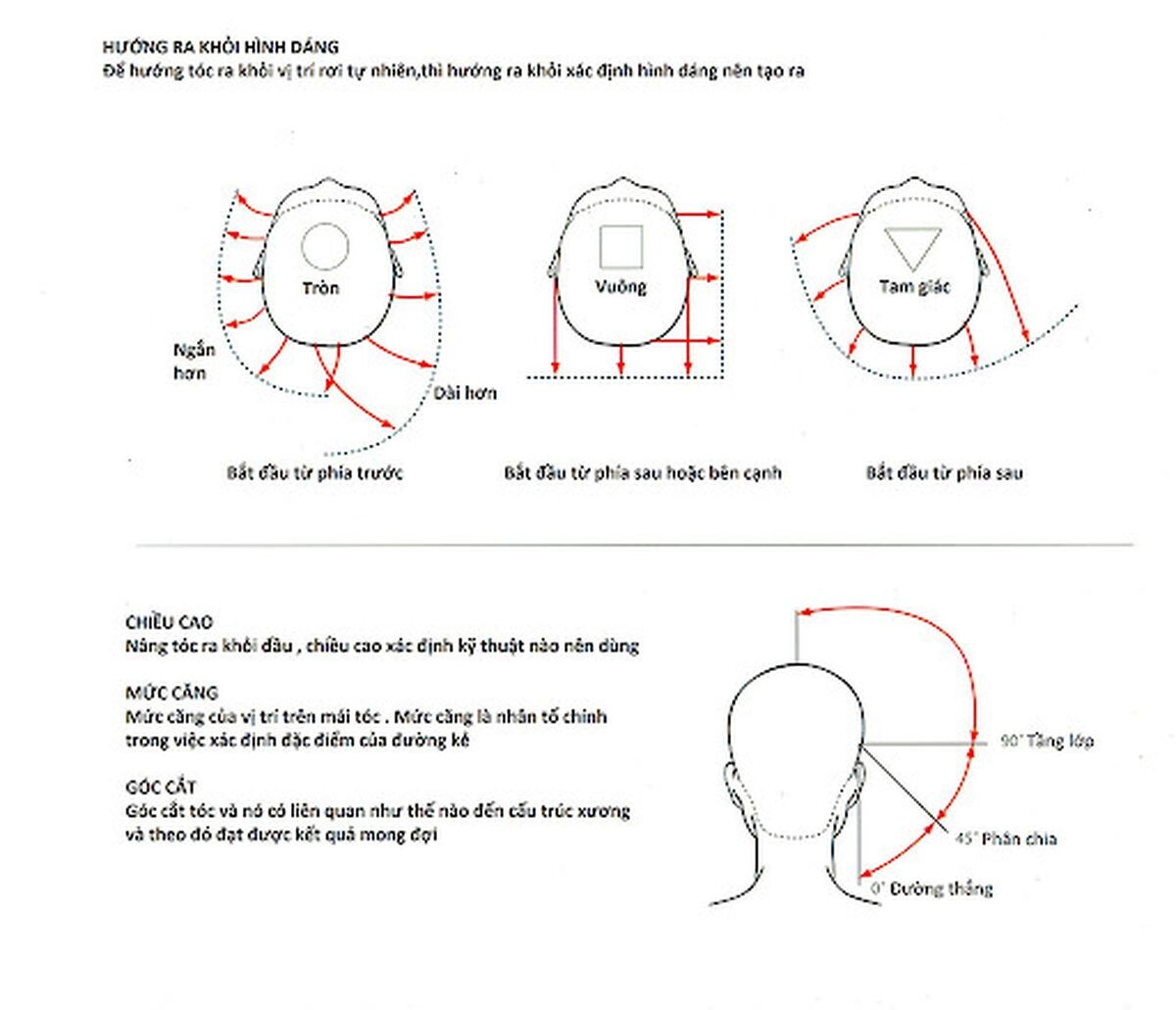 Ứng dụng kỹ thuật cắt tóc Vidal Sassoon